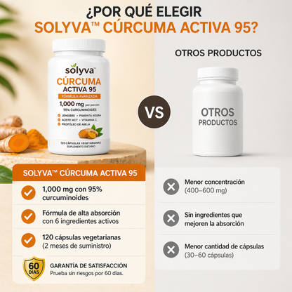 Solyva™ Cúrcuma Activa 95