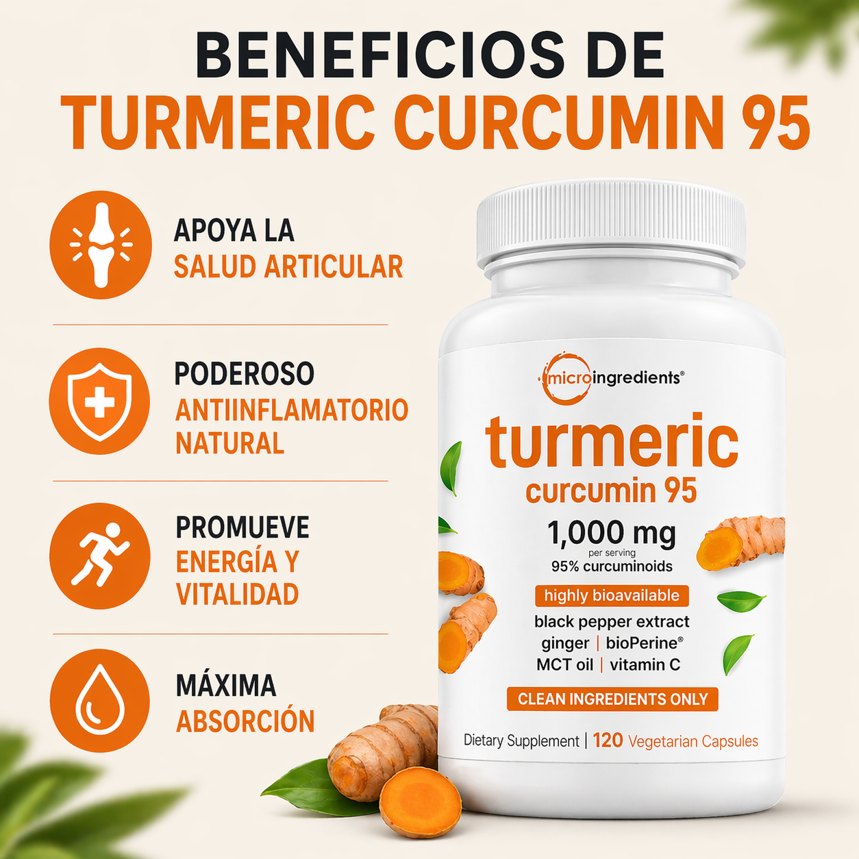 Solyva™ Cúrcuma Activa 95